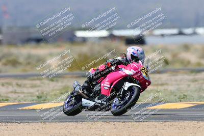 media/Apr-07-2024-CVMA (Sun) [[53b4d90ad0]]/Race 11 500 Supersport-350 Supersport/